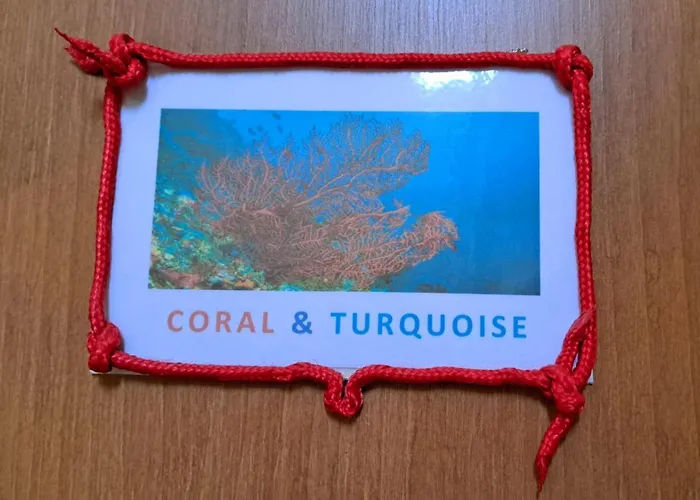 Coral & Turquoise