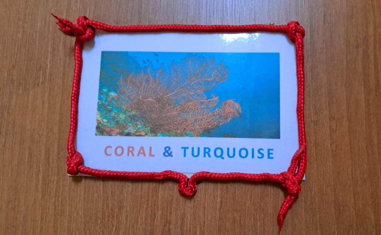 Coral & Turquoise